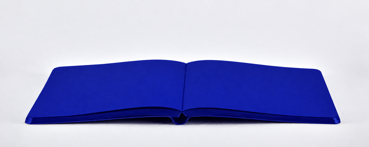  #color_Cobalt Blue
